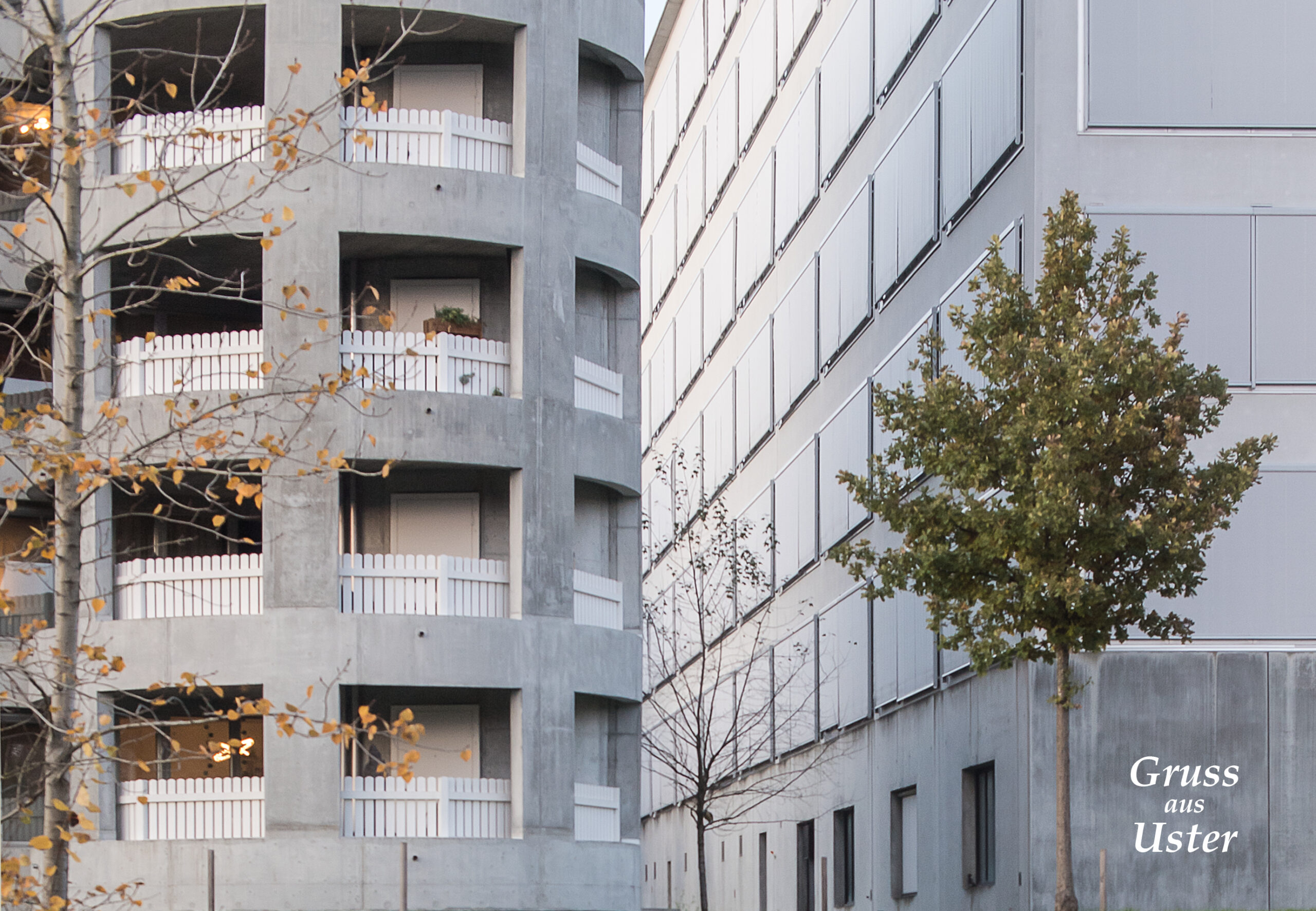 N° 104 – Zellwegerpark