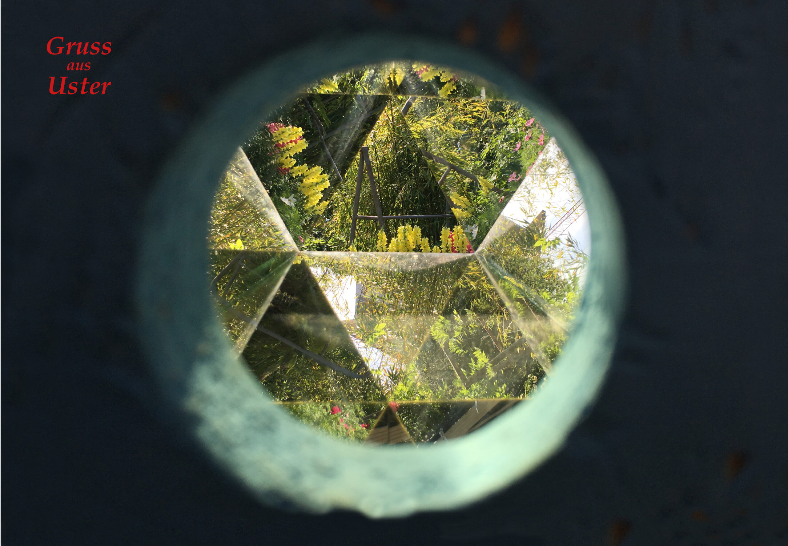 N° 142 – Gärtnerei Ryffel